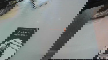 La Plus haute des solitudes: Misère affective et sexuelle d'émigrés nord-africains