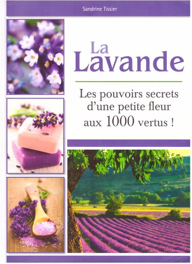 Couverture de La lavande : les pouvoirs secrets d'une petite fleur aux 1000 vertus