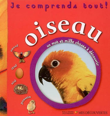 Oiseau : envol, oeuf, nid, poussin