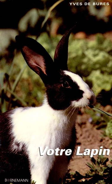 Votre lapin