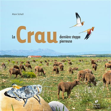 La Crau : dernière steppe pierreuse
