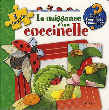 La naissance d'une coccinelle
