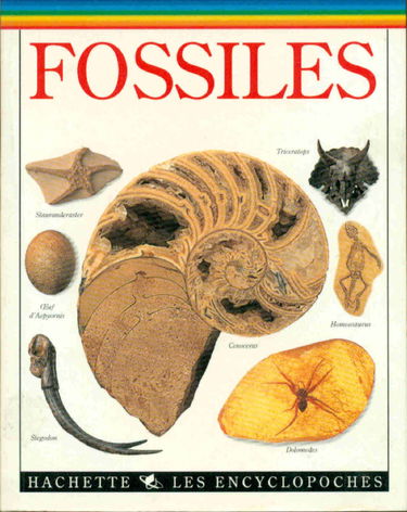 Fossiles