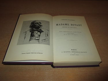 Madame Bovary : moeurs de province