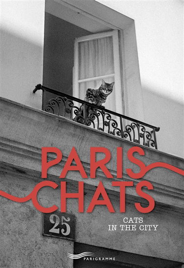 Paris chats. Cats in the city