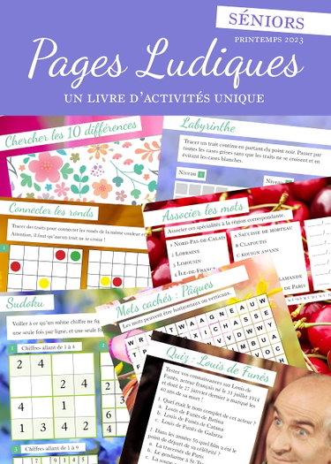 Couverture de Pages Ludiques : Livre Activités Stimulation Mémoire Sénior, Multi-jeux, Gros caractères, Jeux de logique, de mots, de chiffres, d’images, Quiz, Charades, Chansons, Humour, Actualités, Calendrier