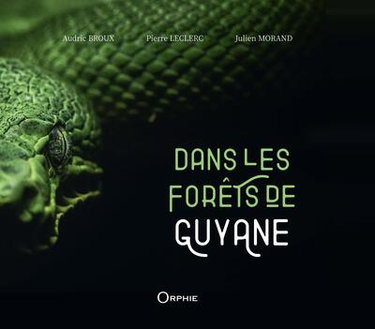 Couverture de Dans les forêts de Guyane
