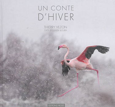 Un conte d'hiver