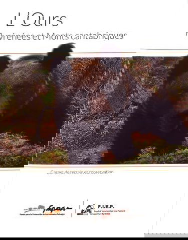 L'ours, Pyrénées et Monts cantabriques: Carnet de terrain et conservation
