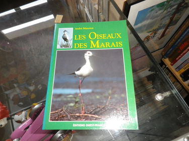 Les oiseaux du marais