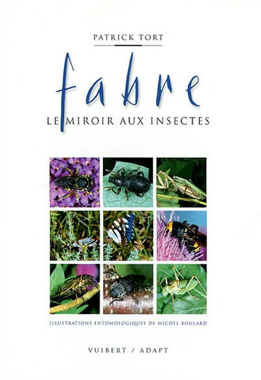 Fabre, le miroir aux insectes