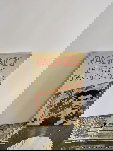 Souvenirs d'enfance. Vol. 4. Le temps des amours