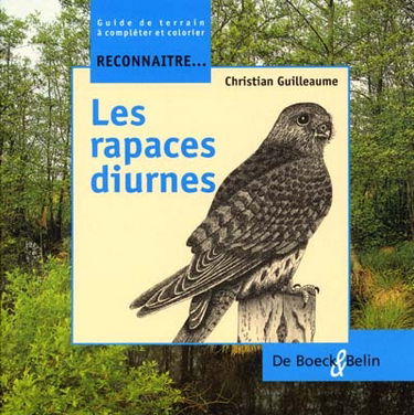 Reconnaître... les rapaces diurnes : guide de terrain à compléter et colorier