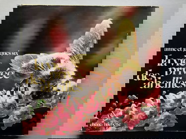 La Vie privée des abeilles