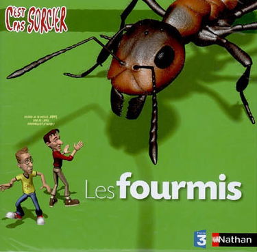 Les fourmis