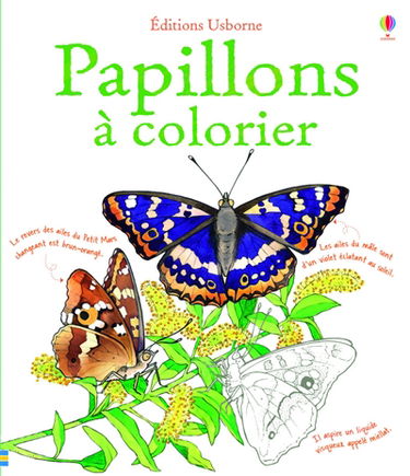 Papillons à colorier