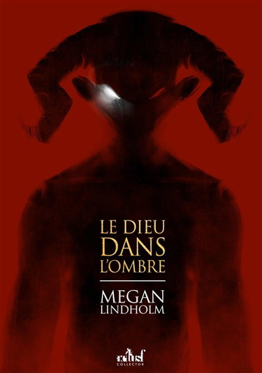 Couverture de Le dieu dans l'ombre