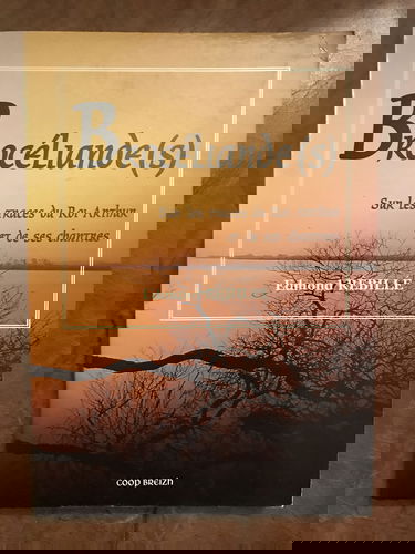 Brocéliande(s) : sur les traces du roi Arthur et de ses chantres.