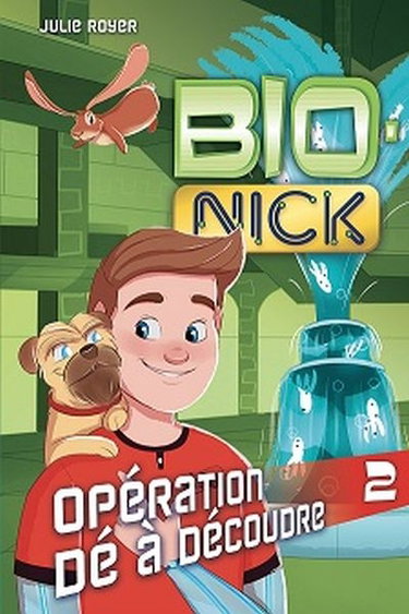 Opération Dé à découdre 2