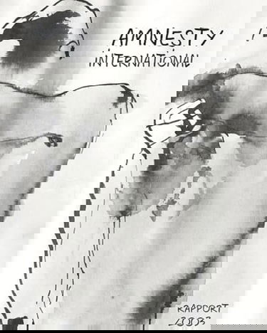 Amnesty International, rapport 2003