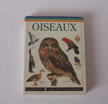 Les oiseaux