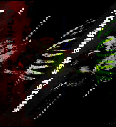 L'origine des tatous