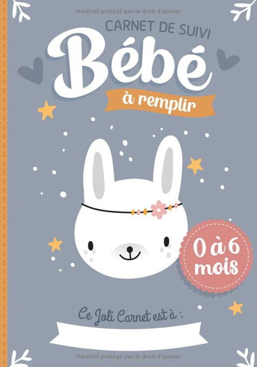 Couverture de Carnet de Suivi Bébé à remplir 0 à 6 mois: Cahier tout en un pour un suivi quotidien de bébé de son allaitement, de son sommeil et de sa santé | cadeau idéal future maman