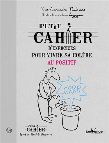 Petit cahier d'exercices pour vivre sa colère au positif