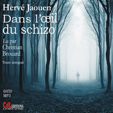 Dans l'oeil du schizo