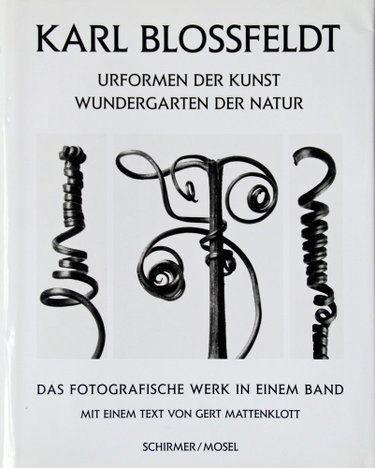 Couverture de Karl Blossfeldt Urformen der Kunst : Wundergarten der Natur