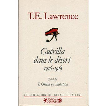 Guérilla dans le désert : 1916-1918. L'Orient arabe en mutation