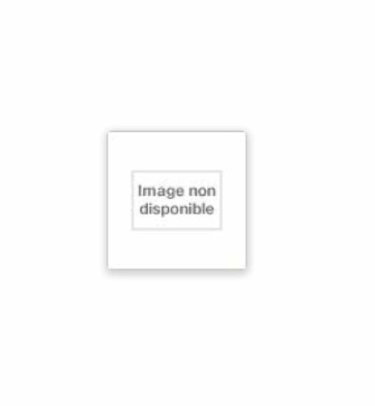Couverture de Les interpretes : roman