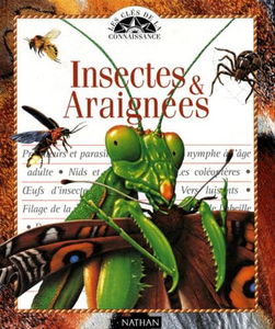 Insectes et araignées