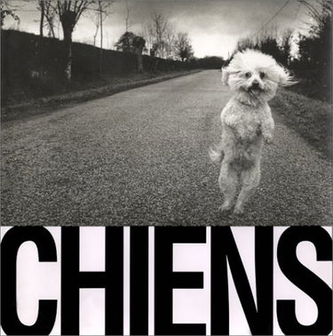 Chiens