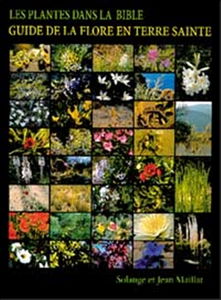 Les plantes dans la Bible