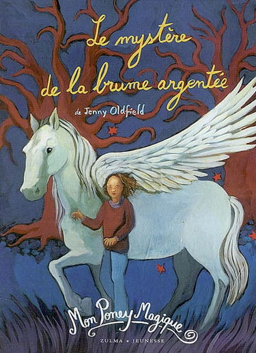 Mon poney magique. Vol. 2. Le mystère de la brume argentée