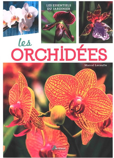 Couverture de Les orchidées