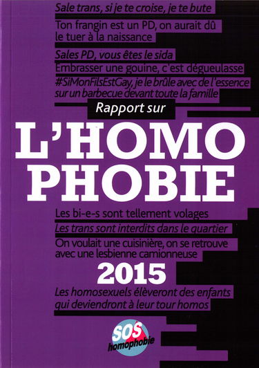 Rapport sur l'homophobie 2015