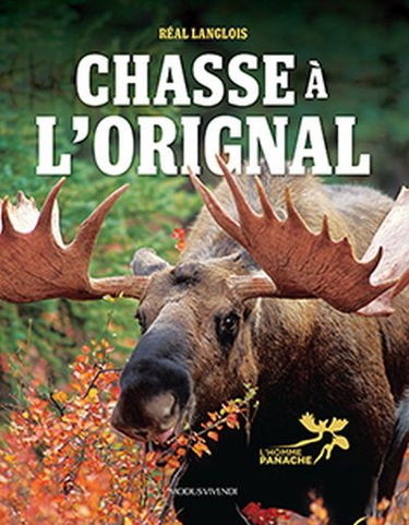 Chasse à l'orignal