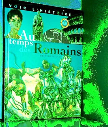 Voir l'histoire, tome 4 : Au temps des Romains