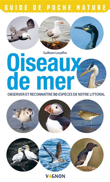 Oiseaux de mer : observer et reconnaître 50 espèces de notre littoral