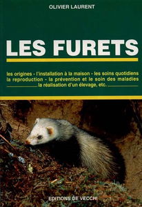 Les furets