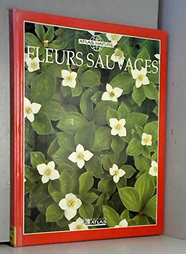Fleurs sauvages