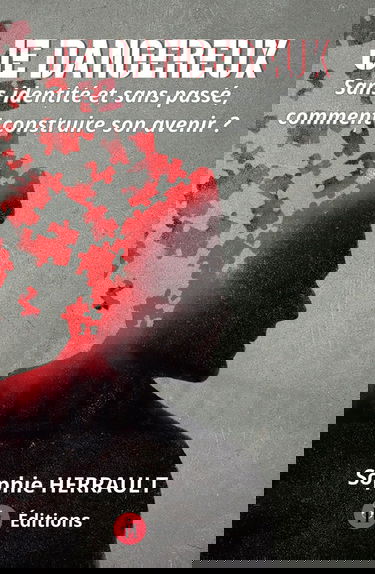 Je Dangereux: Sans identité et sans passé, comment construire son avenir ?