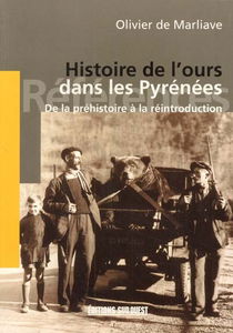 Histoire de l'ours dans les Pyrénées : de la préhistoire à la réintroduction