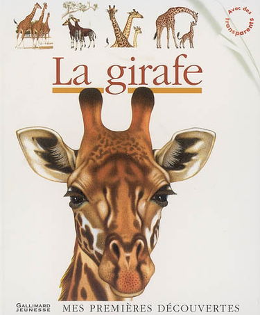 La girafe
