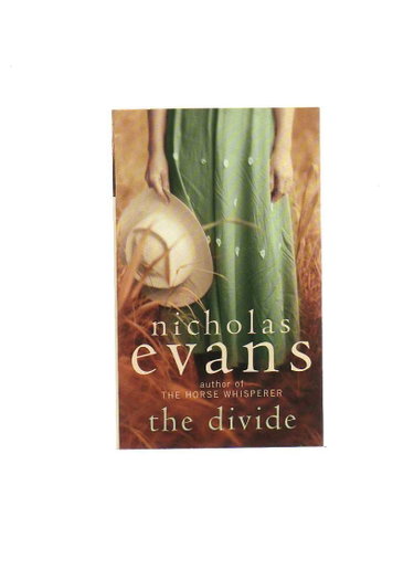 Couverture de The Divide