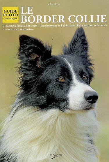 Le border collie
