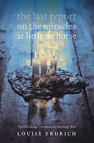 Couverture de The Last Report on the Miracles at Little No Horse