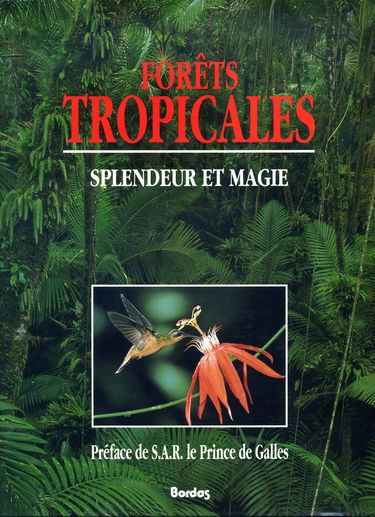Forêts tropicales : splendeur et magie